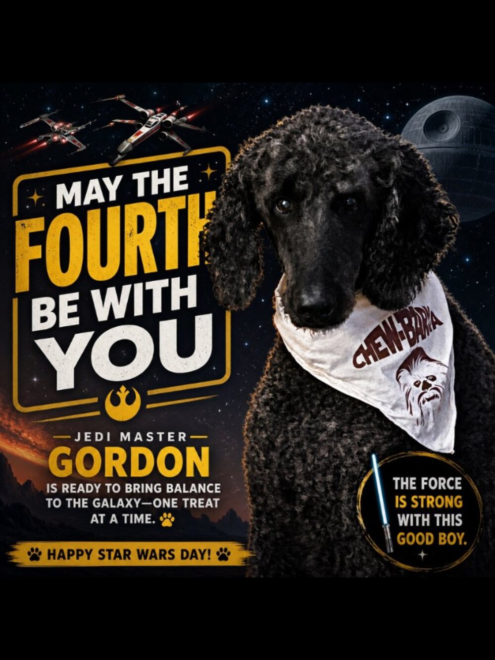 40% OFF! MAY THE FOURTH BE WITH YOU